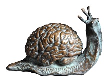 rusch3.jpg